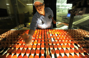 egg production accounting